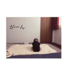 いっせいだよ（個別スタンプ：1）