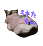 もも＆ちび（個別スタンプ：3）