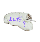 もも＆ちび（個別スタンプ：7）