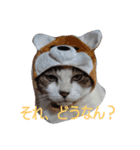 もも＆ちび（個別スタンプ：11）