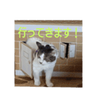 もも＆ちび（個別スタンプ：15）