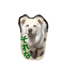 ふぅさん①（個別スタンプ：1）