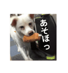 ふぅさん①（個別スタンプ：4）