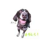 アークとディアナ（個別スタンプ：1）
