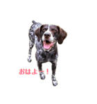 アークとディアナ（個別スタンプ：2）