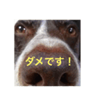 アークとディアナ（個別スタンプ：4）