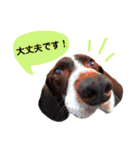 アークとディアナ（個別スタンプ：5）