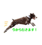 アークとディアナ（個別スタンプ：7）