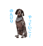 アークとディアナ（個別スタンプ：9）