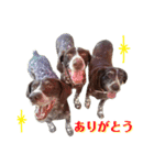 アークとディアナ（個別スタンプ：12）