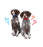 アークとディアナ（個別スタンプ：13）