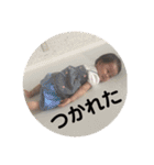 まひな（個別スタンプ：5）