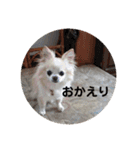 まひな（個別スタンプ：31）