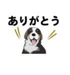 感謝の気持ち色々☆犬のスタンプ（個別スタンプ：5）