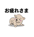 感謝の気持ち色々☆犬のスタンプ（個別スタンプ：10）