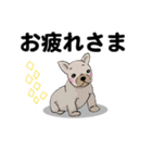 感謝の気持ち色々☆犬のスタンプ（個別スタンプ：11）