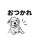 感謝の気持ち色々☆犬のスタンプ（個別スタンプ：14）