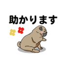 感謝の気持ち色々☆犬のスタンプ（個別スタンプ：25）