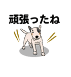 感謝の気持ち色々☆犬のスタンプ（個別スタンプ：30）