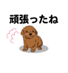 感謝の気持ち色々☆犬のスタンプ（個別スタンプ：32）