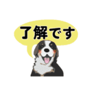 お返事色々☆犬のスタンプ（個別スタンプ：16）
