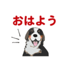 あいさつ色々☆犬のスタンプ（個別スタンプ：4）