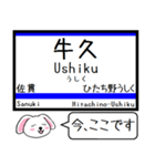 常磐線(日暮里-水戸)今この駅だよ タレミー（個別スタンプ：13）