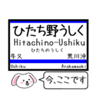 常磐線(日暮里-水戸)今この駅だよ タレミー（個別スタンプ：14）