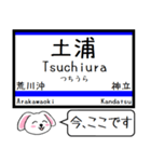 常磐線(日暮里-水戸)今この駅だよ タレミー（個別スタンプ：16）