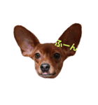 minipin.amoru（個別スタンプ：7）