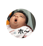 きょーかたん（個別スタンプ：7）