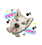 ラブリー お絵かき わんちゃん♥（個別スタンプ：1）