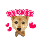 ラブリー お絵かき わんちゃん♥（個別スタンプ：3）
