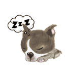 ラブリー お絵かき わんちゃん♥（個別スタンプ：10）