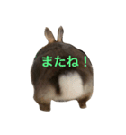 むーちゃんスタンプ1（個別スタンプ：2）