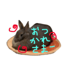 むーちゃんスタンプ1（個別スタンプ：3）