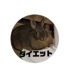 むーちゃんスタンプ1（個別スタンプ：6）