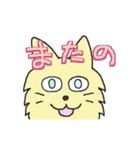 動く〜！表情豊かなゆるねこ☆のろ（個別スタンプ：24）