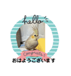 サチさんのかわいい仲間達（個別スタンプ：7）