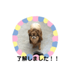 サチさんのかわいい仲間達（個別スタンプ：8）