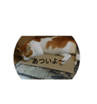 もーちゃんとあっ君（個別スタンプ：1）