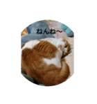 もーちゃんとあっ君（個別スタンプ：5）