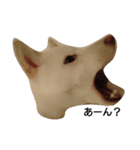 白柴犬の銀時（個別スタンプ：4）