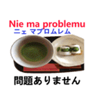 食べ物の写真 ポーランド語と日本語（個別スタンプ：8）
