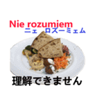 食べ物の写真 ポーランド語と日本語（個別スタンプ：19）