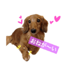 まーくんスタンプU・x・U（個別スタンプ：3）