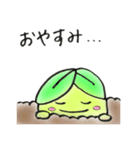 みどりぼうや（個別スタンプ：4）