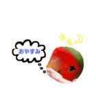 コザクラインコ【ぴーた】スタンプ（個別スタンプ：2）