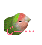 コザクラインコ【ぴーた】スタンプ（個別スタンプ：27）