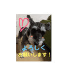 ごまみさんと愉快な仲間たち2（個別スタンプ：8）